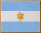Manta, Bandera Argentina, Flannel, Bordada 160x 120 De Lujo!